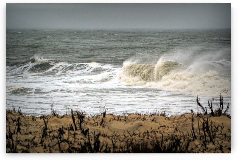 Waves to the Dunes in Fenwick Island by Bill Swartwout Photography