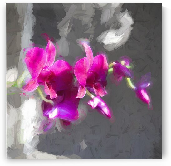 Purple Dendrobium Orchids X101 1 by Rich Franco