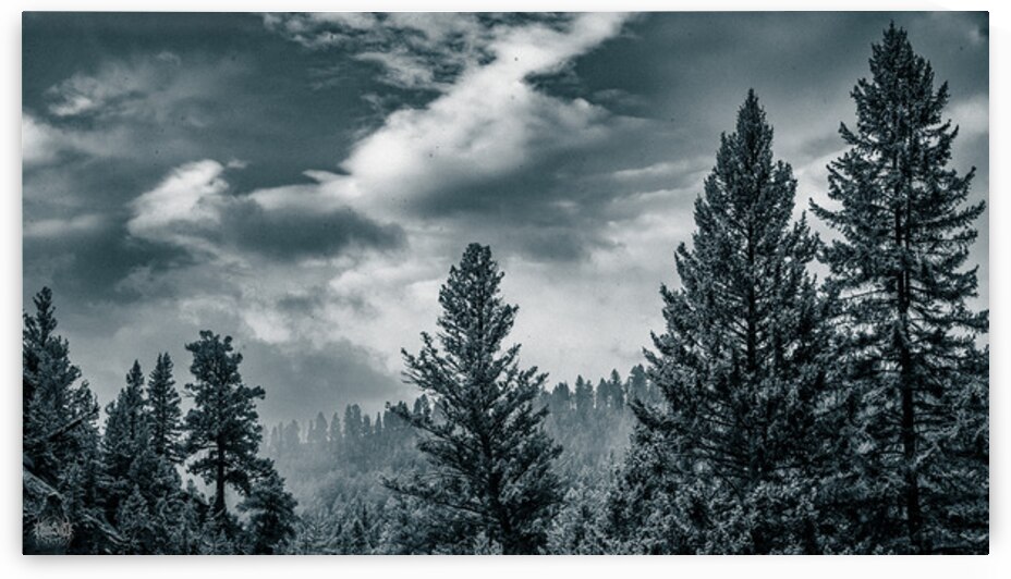 Autum Skies by Nate Solo