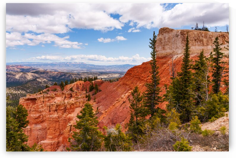 Yovimpa Point Viewpoint Bryce by Jennifer White