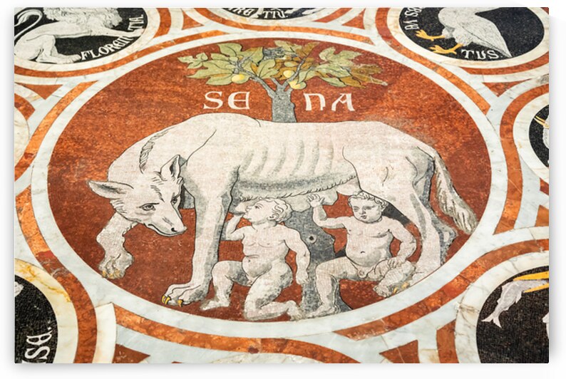 Siena Italy   detail of the Duomo cathedral floor with marble m by Paolo Modena