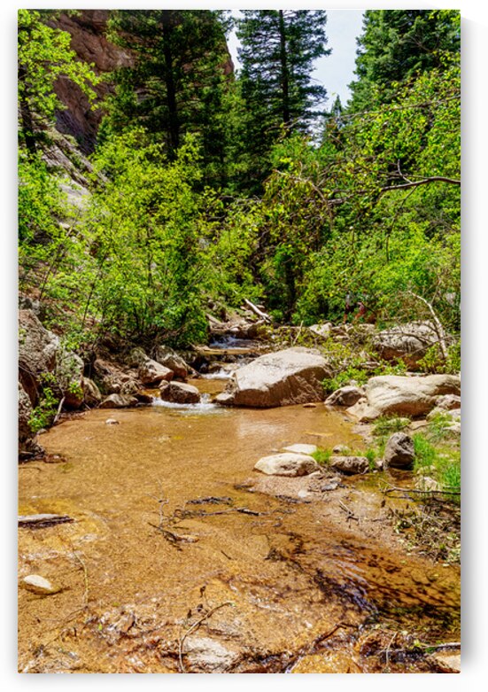 Vertical Creek South Cheyenne Canyon by Jennifer White