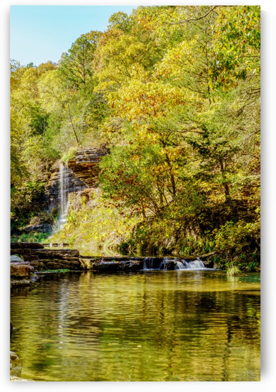 Flowing Waters Golden Leaves by Jennifer White