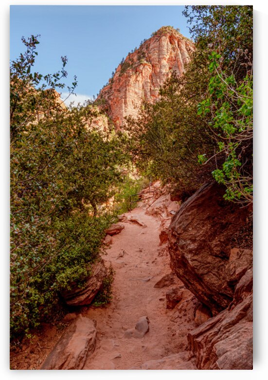 Pathway To The Majestic Zion Canyon by Jennifer White