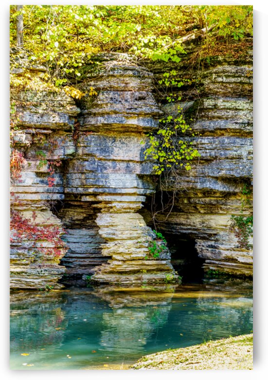 Kids Cave At Dogwood by Jennifer White