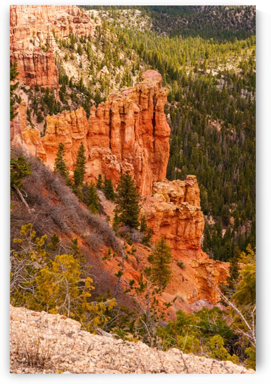 Yovimpa Point Cliff View Bryce Canyon by Jennifer White