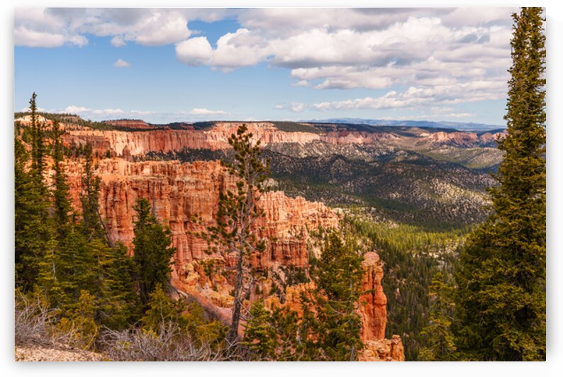 Bryce Canyon Yovimpa Point by Jennifer White