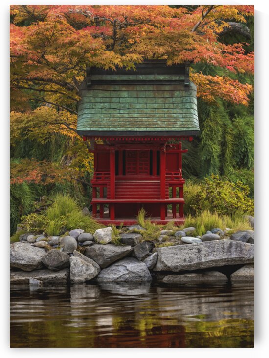 Autumns Embrace by Louis Ruth Photography