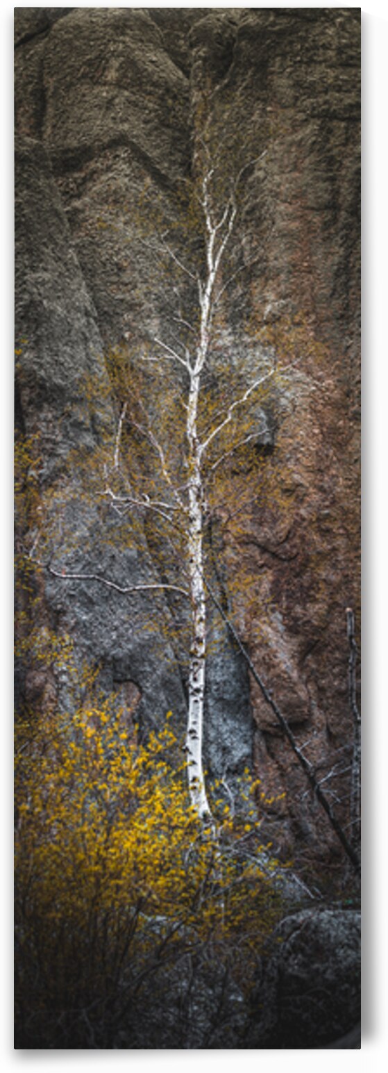 Spirit Tree of the Sacred Hills by Dream World Images