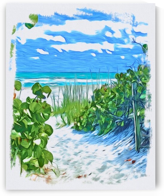 Beach Access 61 by JANIce