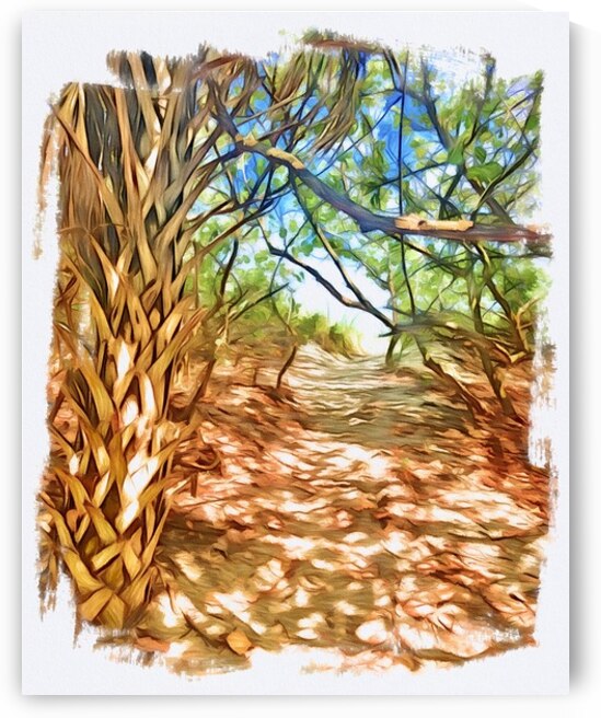 Beach Access 66 by JANIce