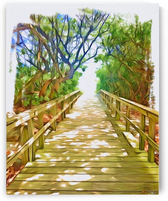 Beach Access 67 by JANIce