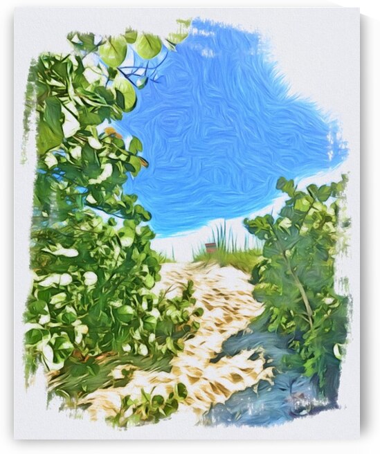 Beach Access  71 by JANIce