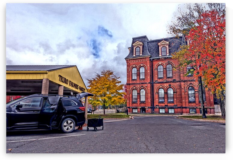 Vibrant Leaves At Market End by Future Unmapped