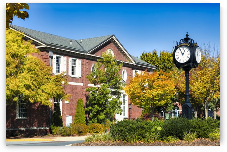 Golden Autumn in Kingsport by Shelia Hunt Photography