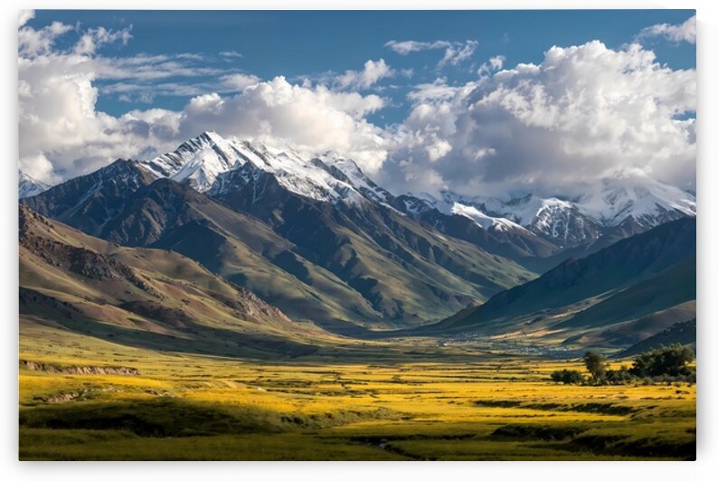 Tibet 3 by Infinite Wall Art