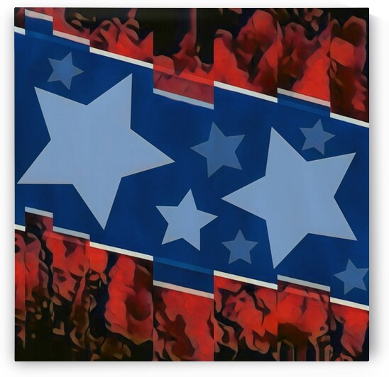 Divisive by Millie R Lissow