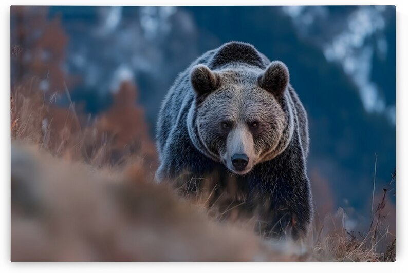 Alpine Titan – Grizzly Bear Print by Savage Art Prints