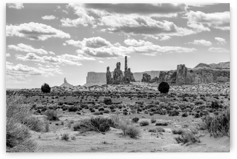 Monument Valley Totem Poles And Spires Grayscale by Jennifer White