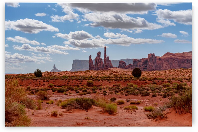 Monument Valley Totem Poles And Spires by Jennifer White