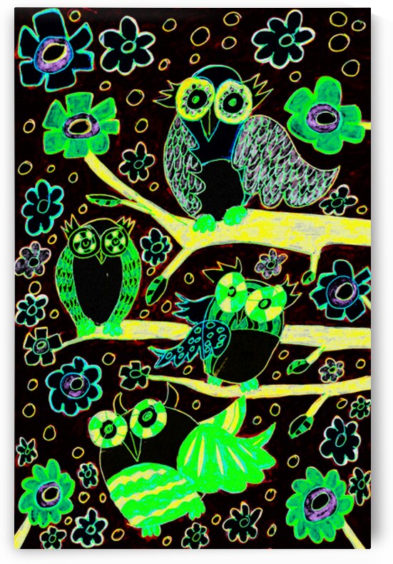 Abstract Vivid Owls by Catriona Roberts Nature Photography and Designs