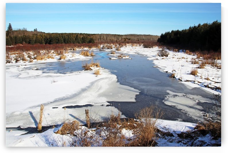 January Roadside Pond by Deb Oppermann