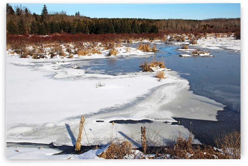 January Roadside Pond I by Deb Oppermann