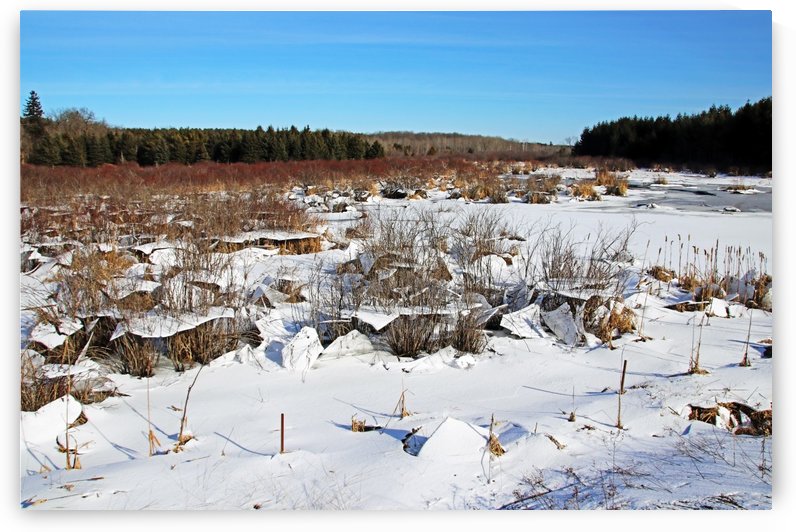 Ice Upheaval On Winter Pond by Deb Oppermann