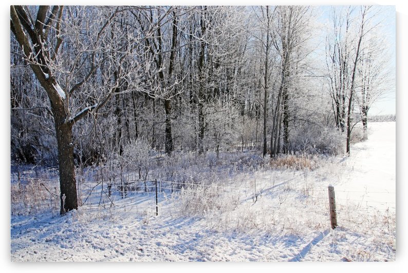 Frosty Winter Countryside by Deb Oppermann