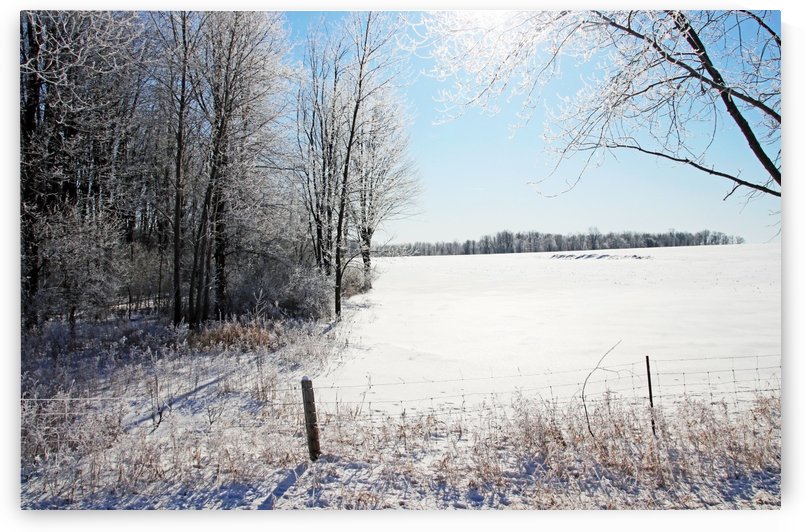 Frosty Winter Countryside I by Deb Oppermann