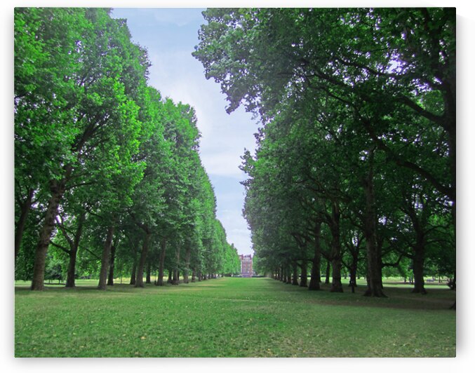 Green of London by Timeless Scenery Photography