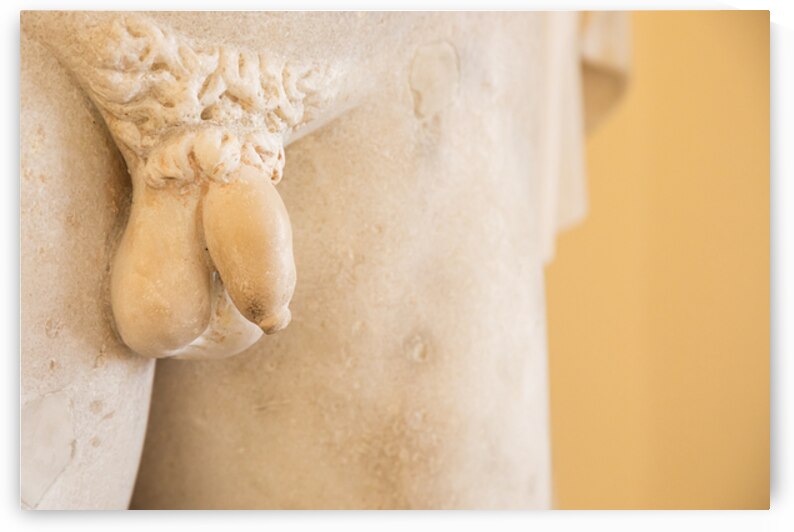 Detail of Male Genitals on Ancient Marble Statue by Paolo Modena