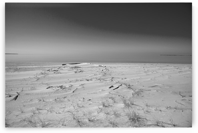 Sand River Beach Print by Stephen Emms