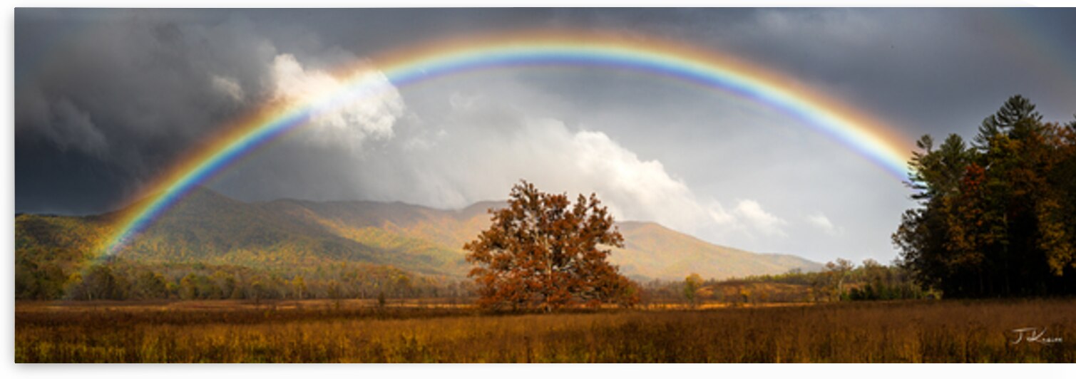 Magic in Cades Cove  by Jared Kreiss
