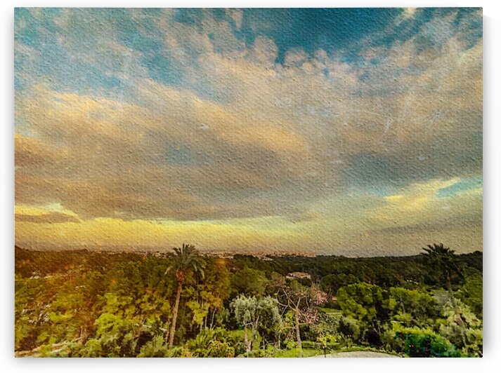 NANCY CALVERT PHOTOGRAPHY: JDavis Umbrellas 1 by Nancy Calvert