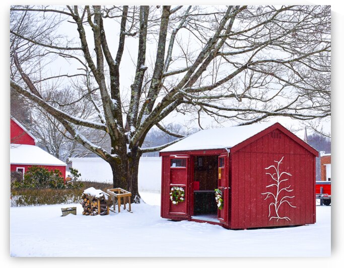 00Cover-Bussa Orchards in Winter by Kevin Savage