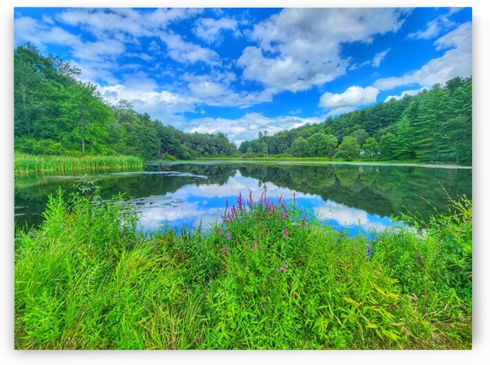 08Aug Eastbury Pond by Kevin Savage