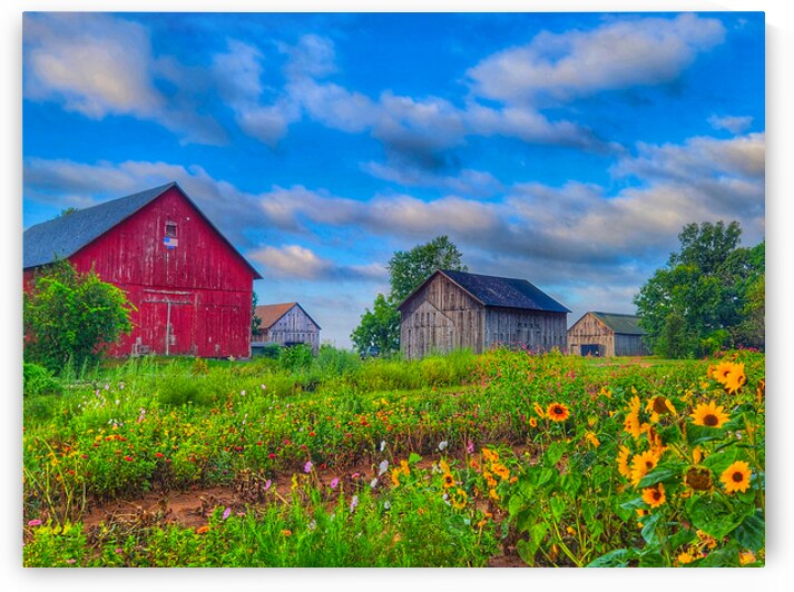 07Jul Gutt Family Farm by Kevin Savage