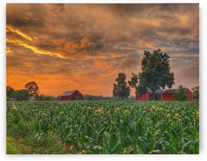 06Jun HortonFarm by Kevin Savage