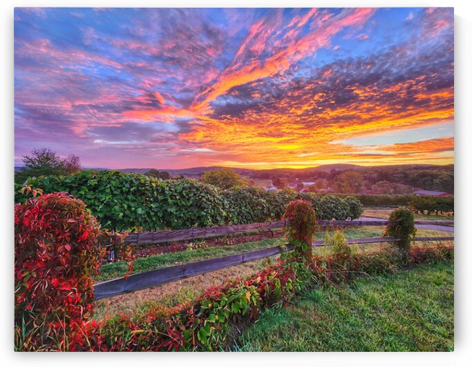 09Aug Belltown Hill Orchards by Kevin Savage