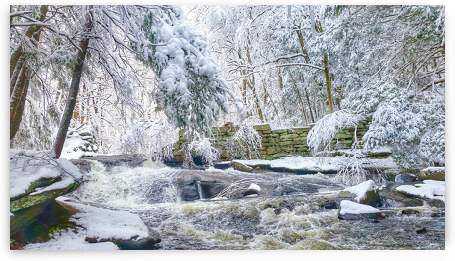 02Feb Cotton Hollow by Kevin Savage