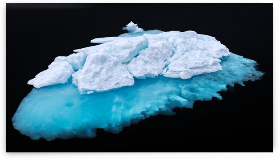 JELLYFISH ICEBERG by Doug Sturgess