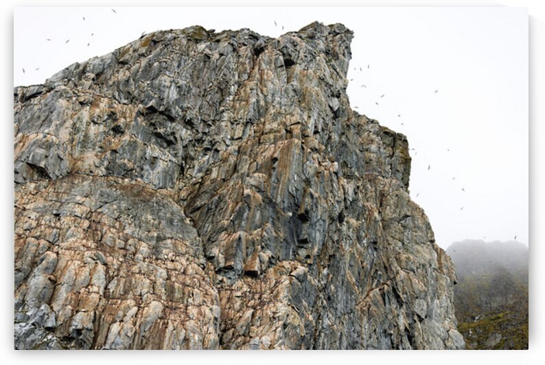 AVIAN HIGH RISE by Doug Sturgess