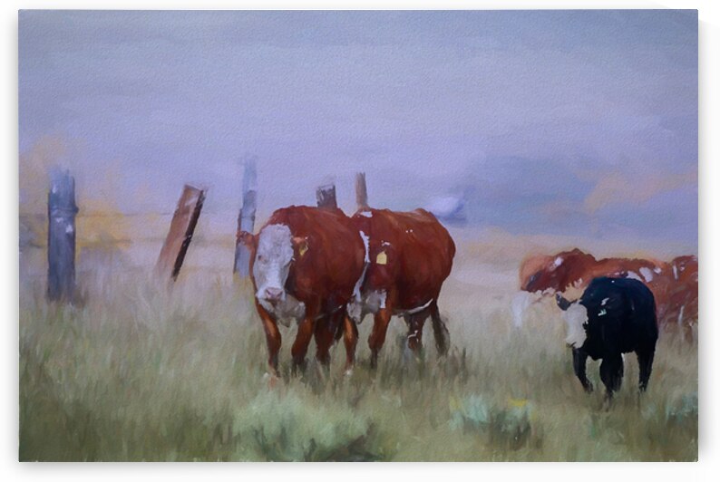 Home Going.   by Susan Humphrey Art