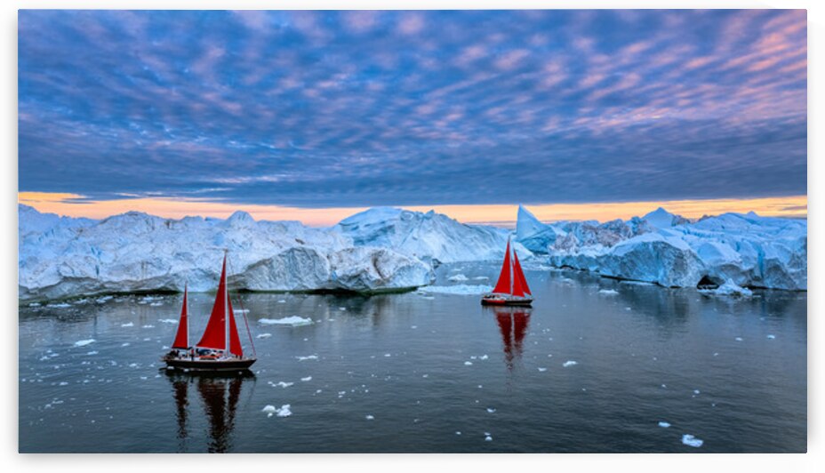 RED DUO by Doug Sturgess