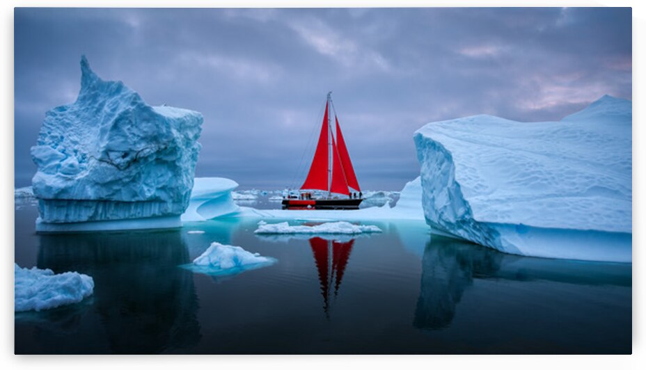 CHINESE DRAGON by Doug Sturgess