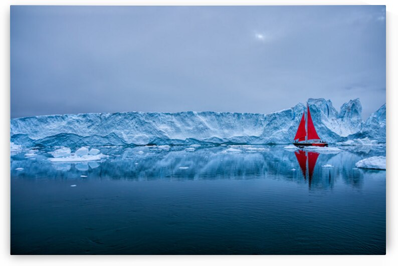 SAILING AMONG THE ICEBERGS by Doug Sturgess