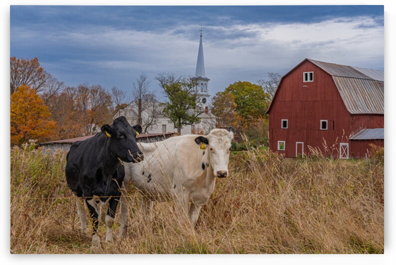Moo dy Barn and Church by Geoffrey Prior