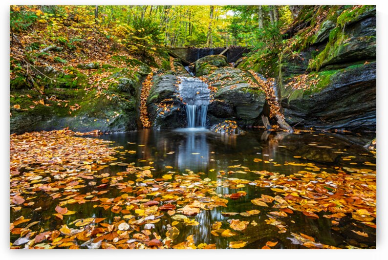 Autumn Leaves Cascade by Geoffrey Prior