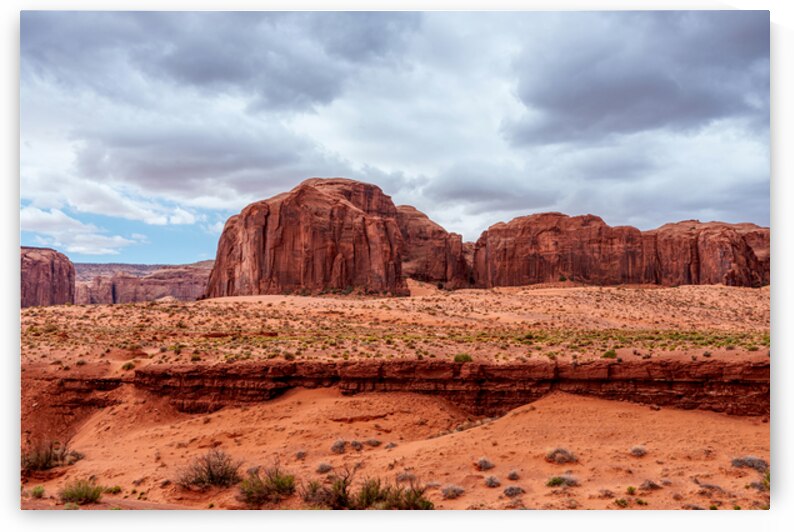 Sand Springs And Thunderbird Monument Valley by Jennifer White